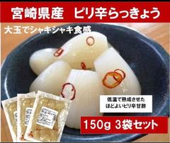 【宮崎のお漬物】都城産　ピリ辛らっきょう150ｇ　3袋セット