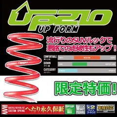 タナベ UP210 リフトアップサス 1台セット ライズ A200A 2019.11.1～ A200SUK メーカー正規品