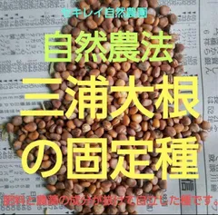 【専用出品】大根葉31袋 2025年最新】大根葉の人気アイテム - メルカリ