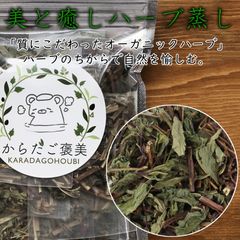 薄荷 ハッカ 5g×10パック 韓国産 乾燥草 よもぎ蒸し 天然ハーブ ハーブブレンド よもぎ蒸し オーガニックハーブ よもぎ蒸しセット