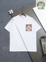 【今日WTO】LOEWE ロエベ ロゴ?色徽章刺繍 微寛 T-JA15