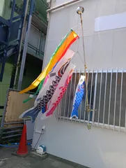 鯉のぼり 宝鯉 黒7m 赤6m 中古 徳永鯉 鯉のぼり 2メートル ホームセット こいのぼり3色（黒・赤