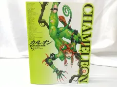 カメレオン: 韮沢靖作品集 | 韮沢 靖 |本 | 通販 | Amazon