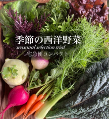 季節の西洋 野菜セット mini 野菜詰め合わせ 宅急便コンパクト