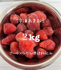 冷凍いちご　あまおう　２kg　朝2025年摘み苺　クールメルカル便送料込み　福岡県から発送