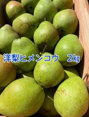 希少な洋梨　ヒメンコウ　2㎏