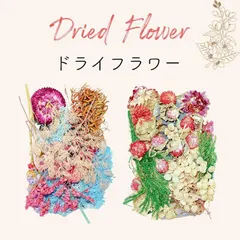 ドライフラワー