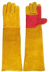 Item thumbnail for item 794d7a02-f538-40be-856d-4fdcfcf7df04