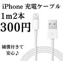 ライトニングケーブル1m2本iPhone充電ケーブルiPhone充電器高速充電typeCタイプClightningケーブルIphoneじゅうでんきケーブル充電ケーブル急速充電アイフォン線アイホンタイプBスマートフォン変換アンドロイド携帯電話安価安い格安激安のサムネイル