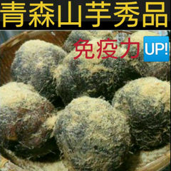 ⭐新芋⭐青森産山の芋秀品1キロ(山芋)