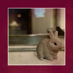 DVD】高橋優 / 高橋優2013日本武道館 YOU CAN BREAK THE SILENCE