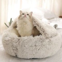 Item thumbnail for item 9cc539f2-972a-4170-ad99-576861d3c154