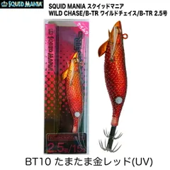 ハイネ　ワイルドチェイス　セット品 スクイッドマニア ワイルドチェイス 3.5号S RGカラー (エギング