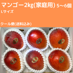 沖縄県産　訳ありマンゴー　2㎏