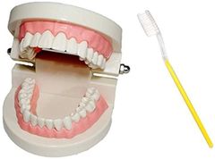 Item thumbnail for item 7db4dd91-27ec-4e1b-8df3-7c9b500201fa