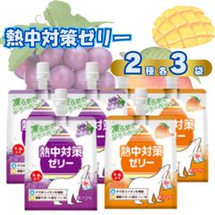 熱中症対策ゼリー2種各3袋