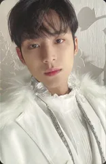 SEVENTEEN 通常盤 MINGYU あいのちから