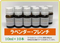 ラベンダー・フレンチ　10ml×10本（アロマストーンプレゼント）