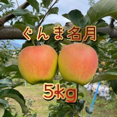 青森県産🍏ぐんま名月✨家庭用🍏5kg14〜16玉‼️