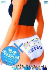 毎度おさわがせします　DVD-BOX 6枚組 駿河屋 -<中古>毎度おさわがせします DVD-BOX（国内ドラマ）