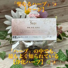 ★「聖なるハーブ」✨【セージ】✨★「コーンタイプ」【お香】（５本入り）★✨