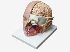 Item thumbnail for item faf67932-edac-425d-9828-7401f672f6d0