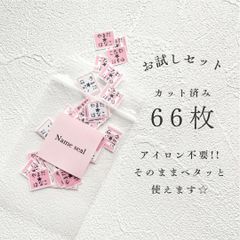お試しセット 66枚 アイロン不要 カット済み 名前タグシール