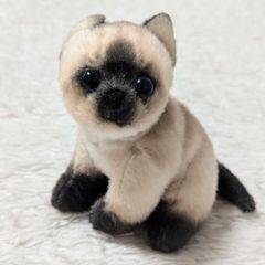 konisi様　確認用