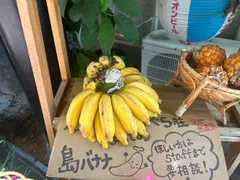 島バナナ⭐️訳あり 2025年最新】島バナナ 訳ありの人気アイテム - メルカリ