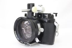 Item thumbnail for item bd50d0d6-aae0-43b4-b1c8-30ef40cb8d52