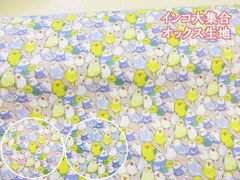 インコ大集合　インコ　鳥柄　オックス生地　１１０ｃｍ巾ｘ１００ｃｍサイズ