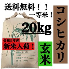 玄米　20kg  コシヒカリ　新米　埼玉県産　令和5年産　送料無料　米　20キロ