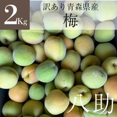 【北海道～中国四国エリア限定】　訳あり　青森県産　無選別八助梅（あんず）　2Kg　※クール便