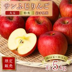 【在庫僅少】サンふじりんご 特秀 蜜入り 岩手県産 サンふじ リンゴ 林檎 約5kg 14玉入り 18玉入り お歳暮 家庭用 ギフト送料無料