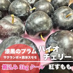 【クール便3kg】漆黒のプラム 山形県産 バイオチェリー 箱込み 3kg すもも