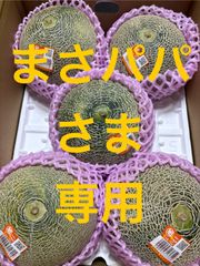 クインシーメロン 2Lサイズ