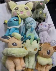 ポケモン  ぬいぐるみセット