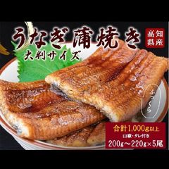 高知県産有頭ウナギ蒲焼き　5尾セット【高知県産　蒲焼　国産　丑の日　土用の丑の日　鰻　うなぎ　山椒、タレ付】