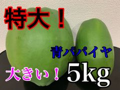 宮崎県産 特大青パパイヤ約5キロ 農薬栽培期間中不使用 美容ダイエットにオススメ