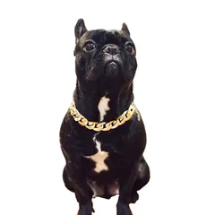 新品 犬 首輪 チェーン ゴールド おしゃれ ファッション フレンチブルドッグ いじめプラスチック ゴールドチェーン ペットネックレスアクセサリー 中型犬 お出かけ 散歩 公園遊び 軽量 便利 引っ張り防止首輪(ゴールデン)