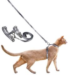 Item thumbnail for item 71929c24-6d1c-4bb4-8652-7a9c9c5708e8