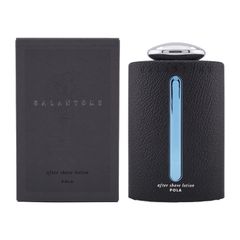 廃盤 希少 POLA ポーラ ギャラントムⅡ オーデコロン ビジネスタイム