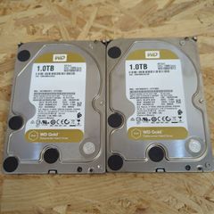 Western Digital Gold 1TB 2台セット　（健康状態：正常）