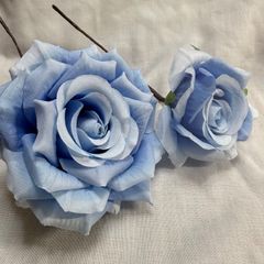 Item thumbnail for item 101dd1e5-f365-405a-b6b6-f719e70fee3d