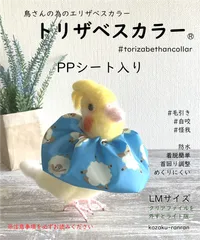 2024年最新】コザクラインコ エリザベスカラーの人気アイテム - メルカリ