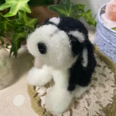 B&S M.シュナウザーのサムネイル