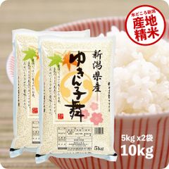 米 新潟県産ゆきん子舞10kg  お米 令和5年産 白米