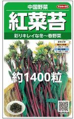 未開封＜野菜の種＞約1400粒　紅菜苔　中国野菜