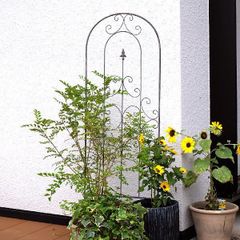 Item thumbnail for item 5371aba7-1013-4c78-ab4c-5f76db6489a3