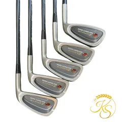 ミズノ ZEPHYR EG195 アイアン6本セット FLEX–8 右 - メルカリ